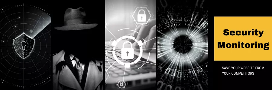 Security Monitoring for website